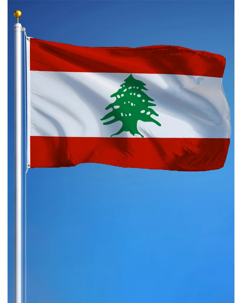 S8dfd3bae01964d97b24bcb83bfa97d9fC